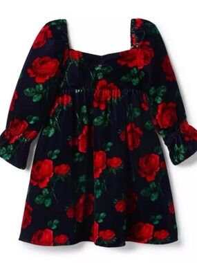 Janie and Jack Dark Marine rose print velvet dress